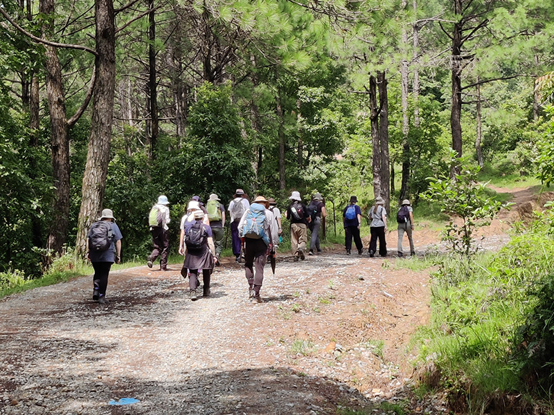 Nepal Trekking for Student Group