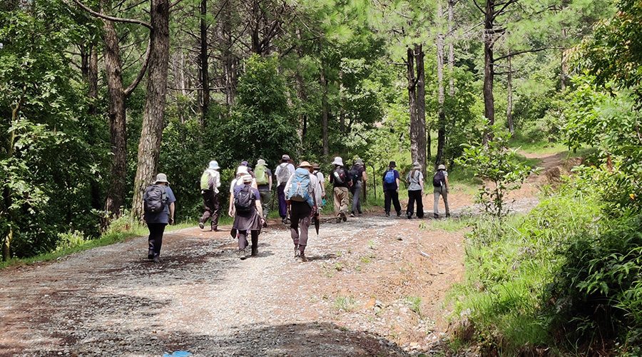 Nepal Trekking for Student Group