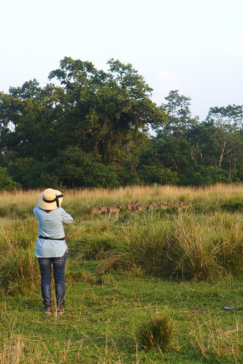 Chitwan